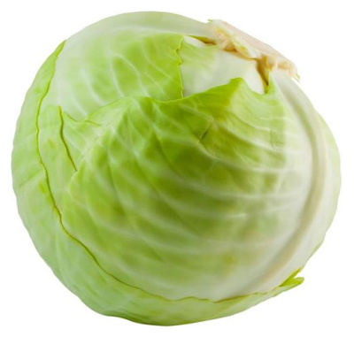 Капуста